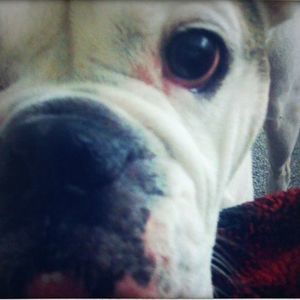 Meet your Posher, Biggie